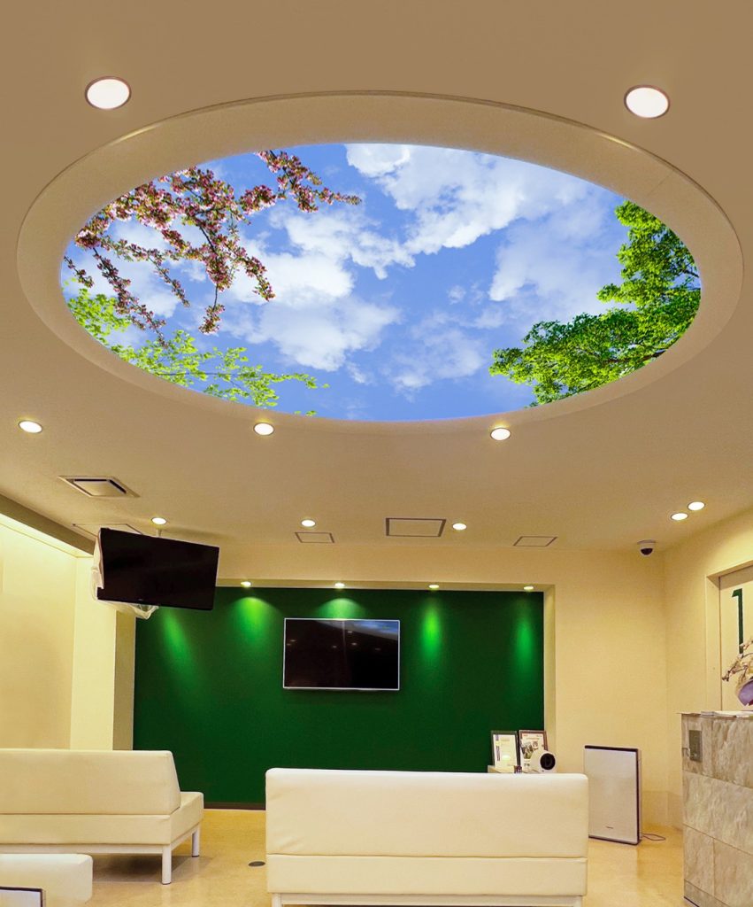 Sky Factory 5x8 Aperture in Japanese Pet Clinic
