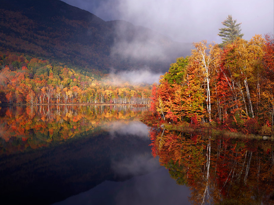Image 2 Lake with Autumn Trees