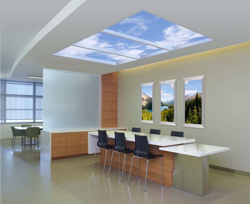 Open meeting area and staff cafeteria featuring a 6' X 12' Revelation SkyCeiling and Luminous Virtual Windows. Photo: John Linden.