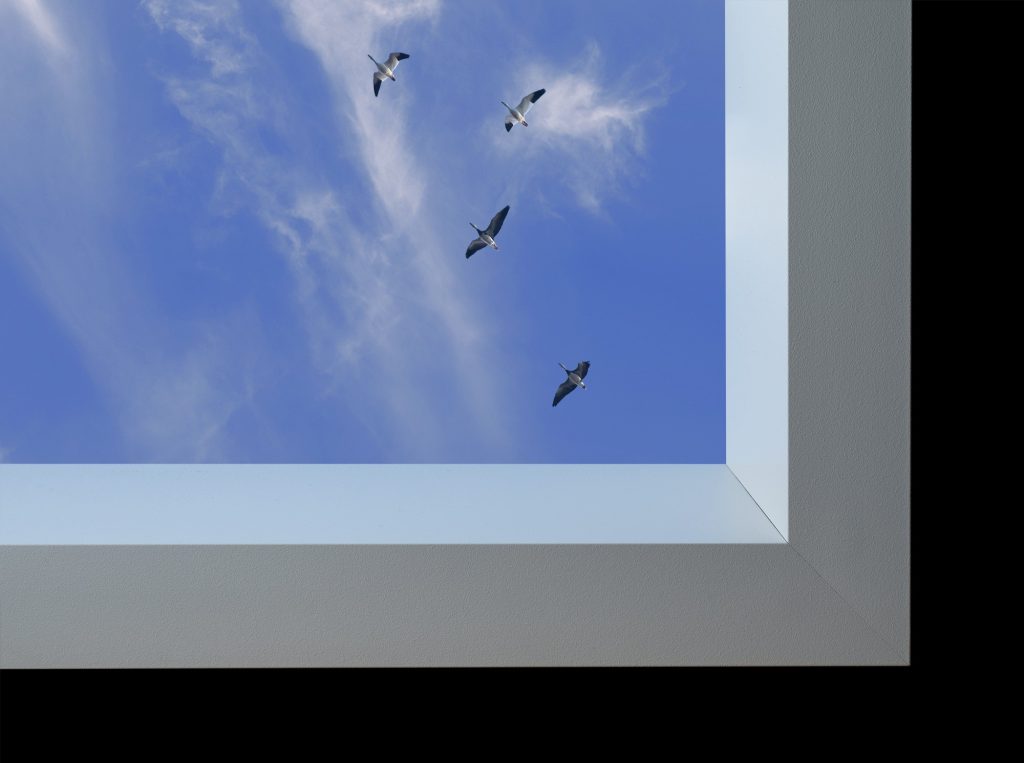 Corner view of Sky Factory Revelation showing snow geese flying high overhead and cirrus clouds