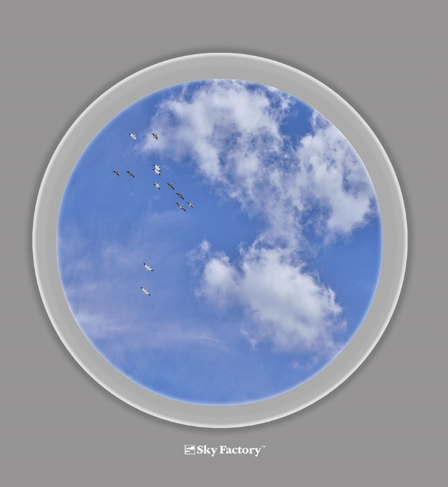 Sky Factory circular Aperture Virtual SkyCeiling with snow geese flying under puffy cumulus clouds