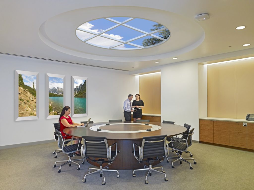 Conference Room featuring an 8' Luminous SkyCeiling Circle and Luminous Virtual Windows. Photo: John Linden.