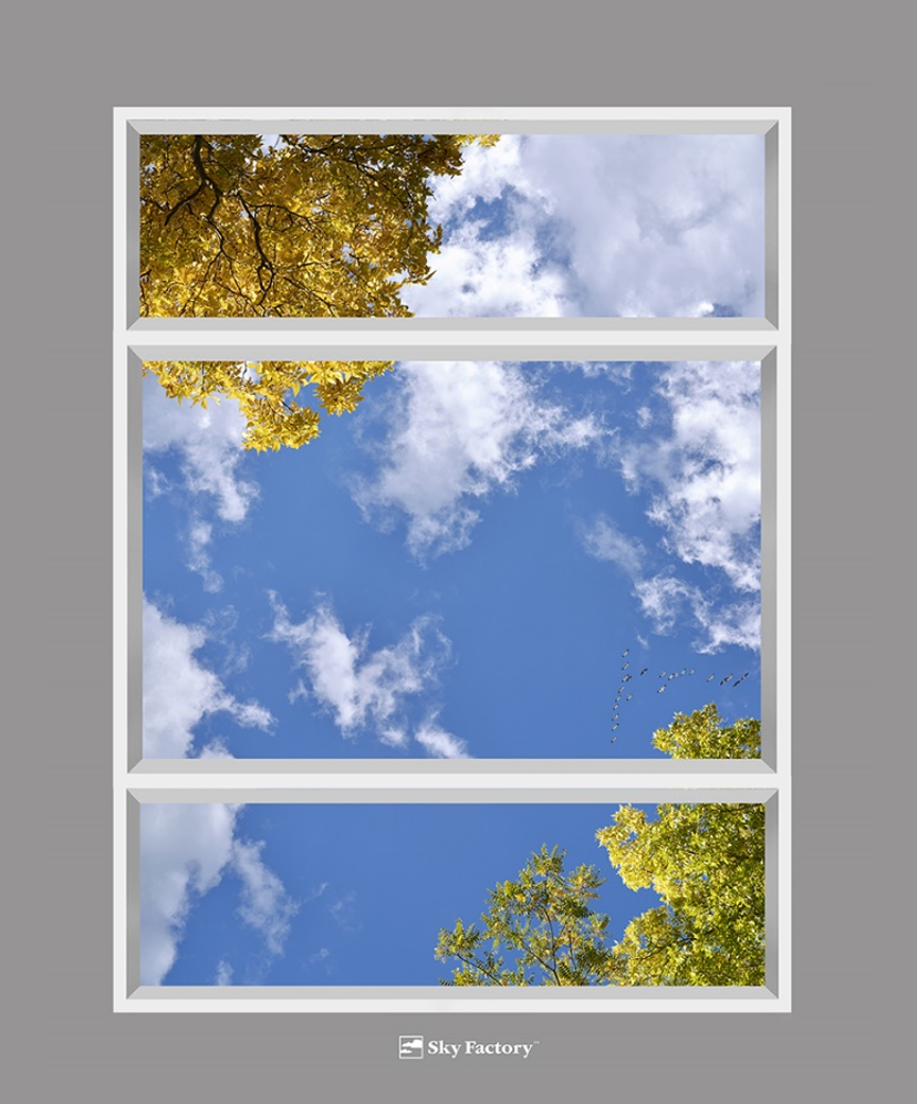 Sky Factory Revelation Virtual SkyCeiling with fall foliage and snow geese under mixed clouds