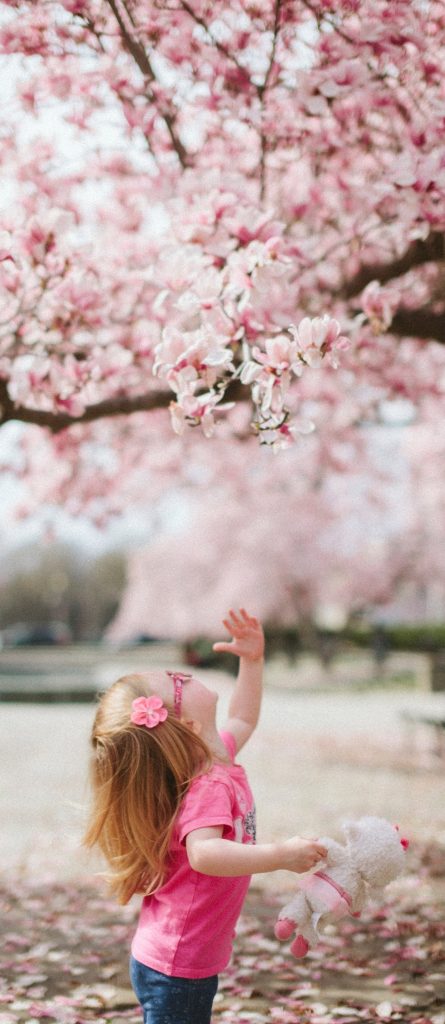 Image 8 Child Playing Under Cherry Blossoms