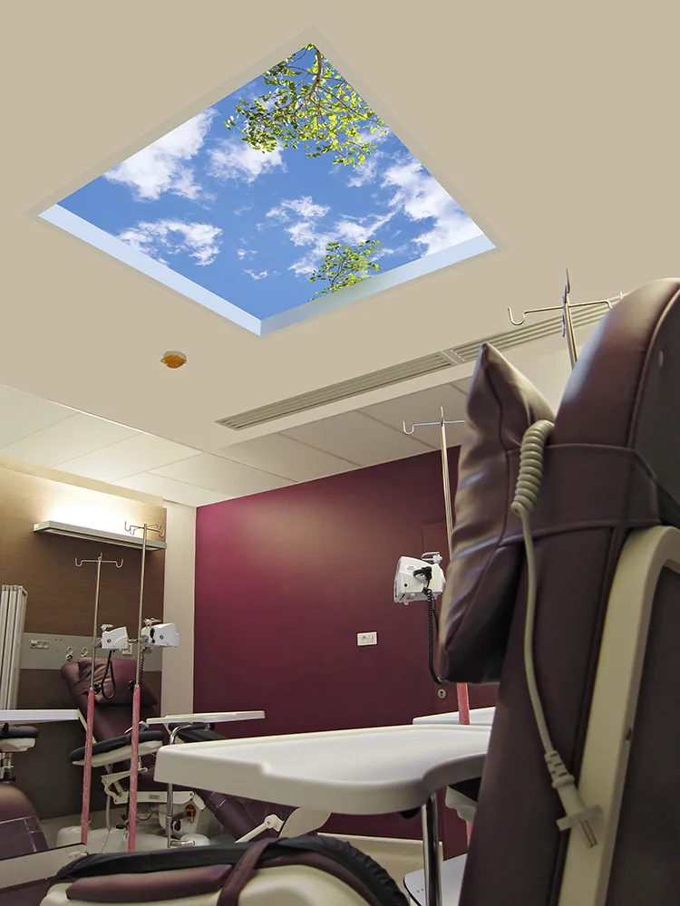 Georges Pompidou Hospital Chemo REV Image 11