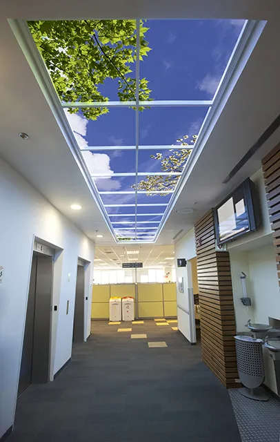 Sky Factory Virtual SkyCeiling in office hallway