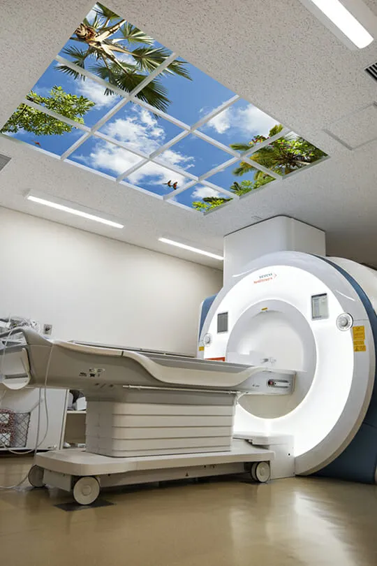 Shinshu University Hospital MRI Image 2a