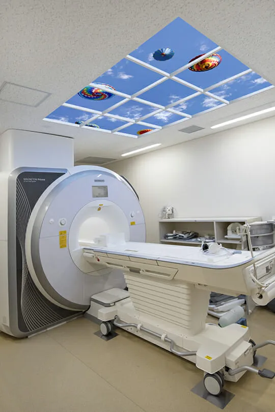 Shinshu University Hospital MRI Image 5a