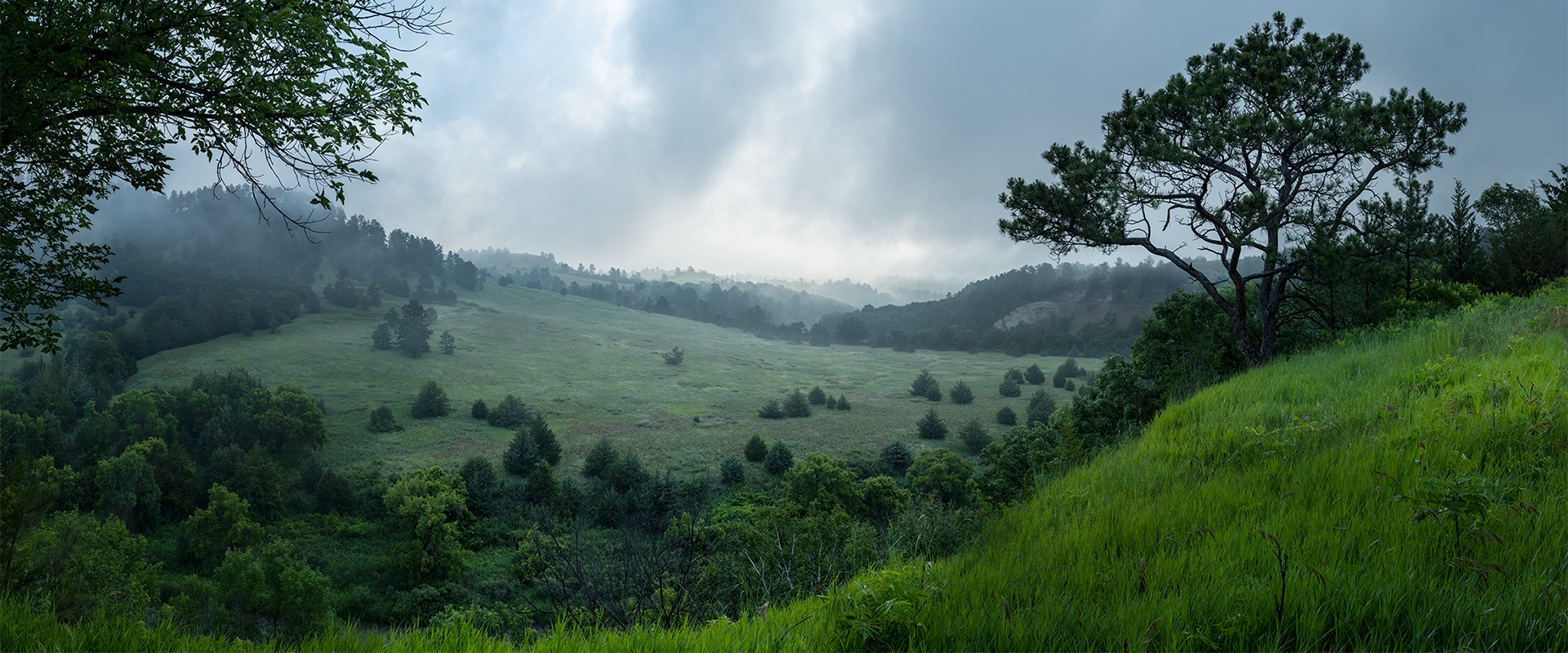 OpenView Focus Stacked Image of mist and green hills