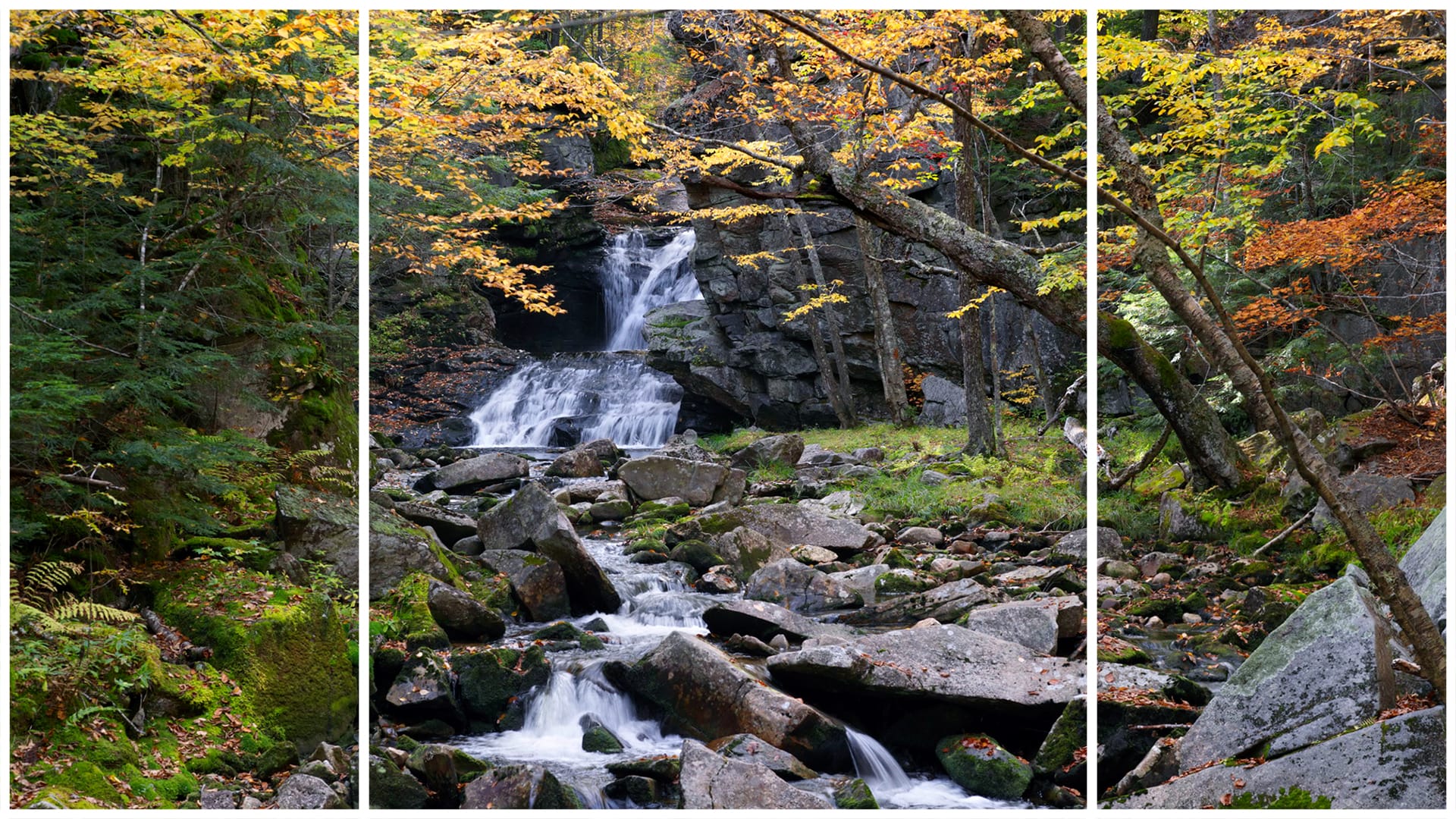 Fall enews triptych v2