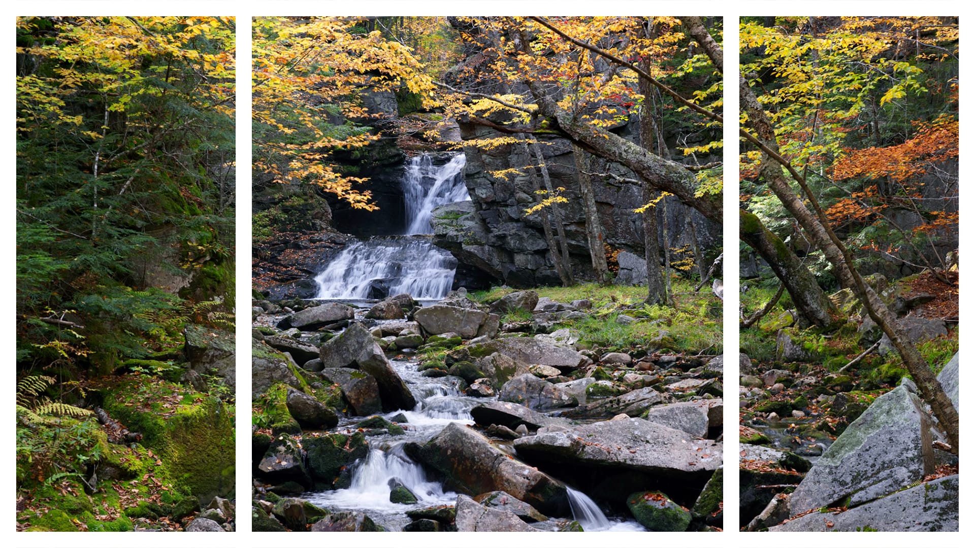 Fall enews triptych v3