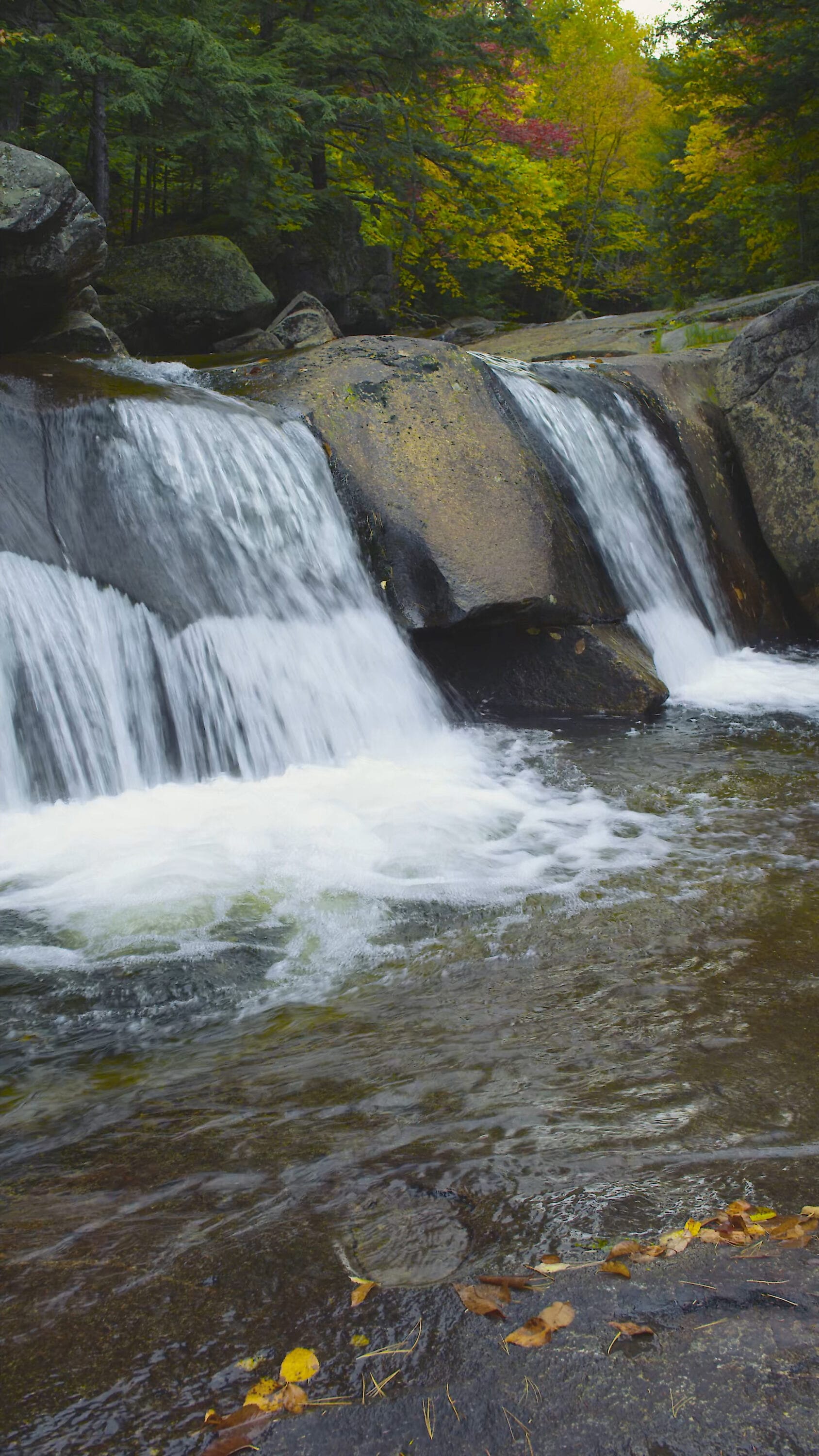 Screw Auger Falls Upper